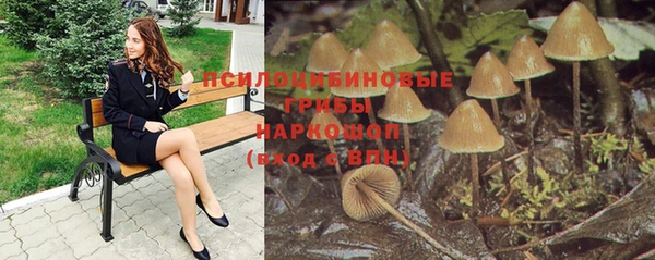 гидра Лагань