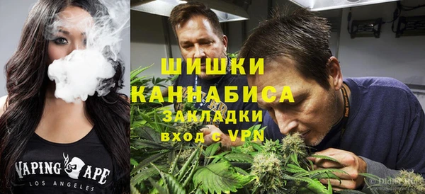 гидра Лагань