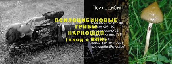 гидра Лагань