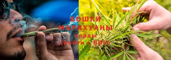 гидра Лагань